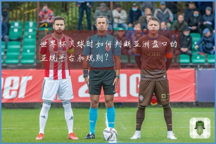 世界杯买球时如何判断亚洲盘口的正规平台和规则？