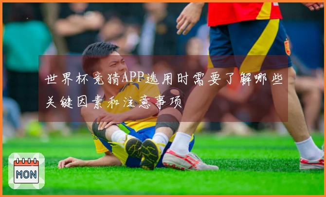 世界杯竞猜APP选用时需要了解哪些关键因素和注意事项
