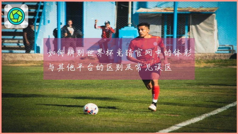 如何辨别世界杯竞猜官网中的体彩与其他平台的区别及常见误区