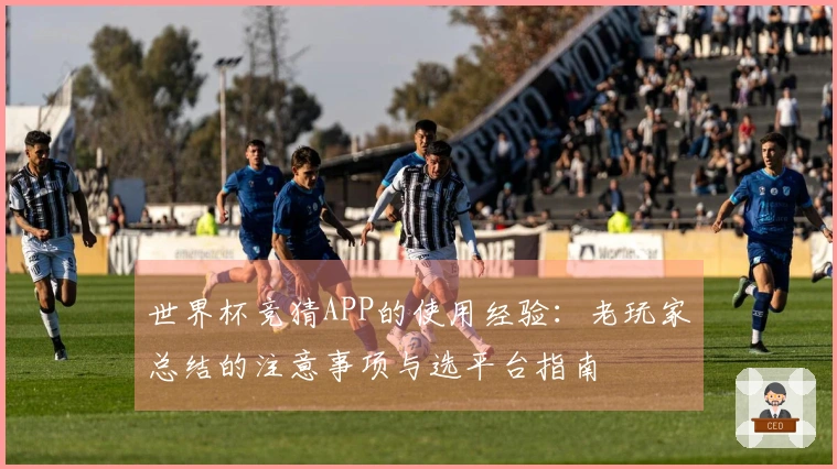 世界杯竞猜APP的使用经验：老玩家总结的注意事项与选平台指南
