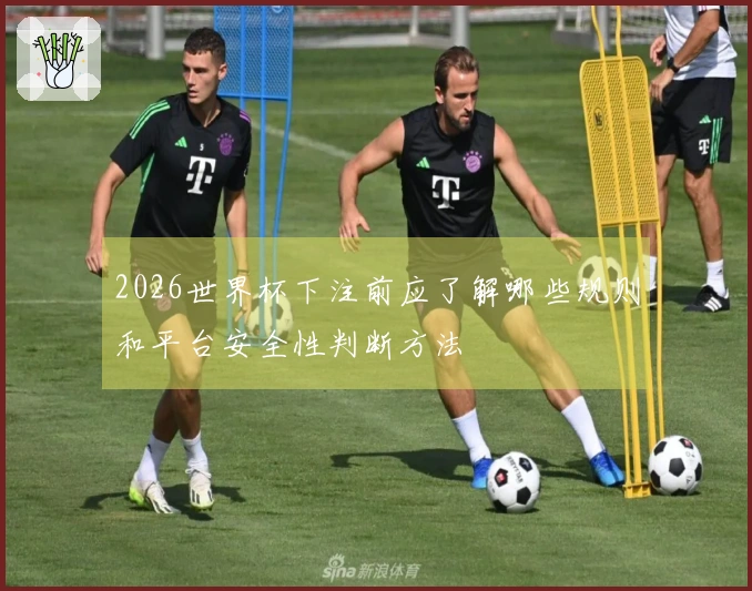 2026世界杯下注前应了解哪些规则和平台安全性判断方法