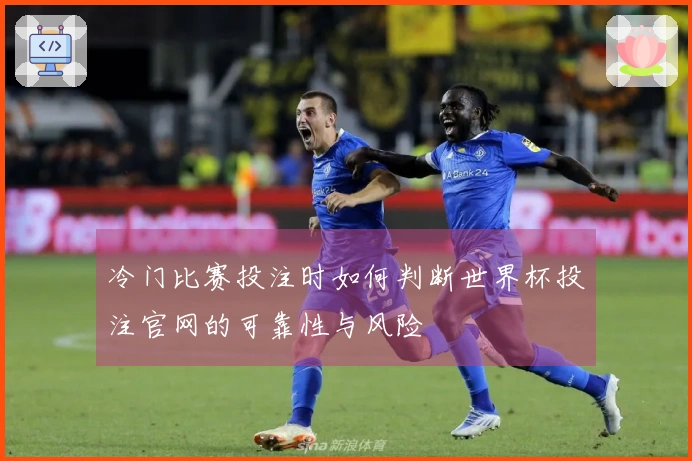 冷门比赛投注时如何判断世界杯投注官网的可靠性与风险