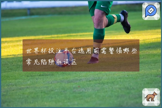世界杯投注平台选用前需警惕哪些常见陷阱和误区