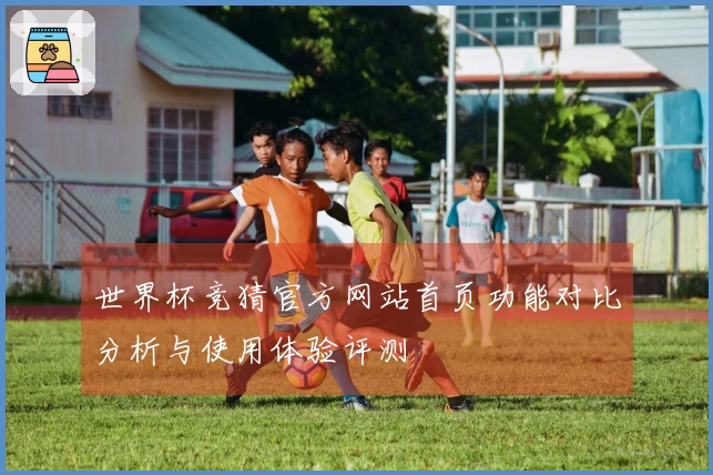 世界杯竞猜官方网站首页功能对比分析与使用体验评测