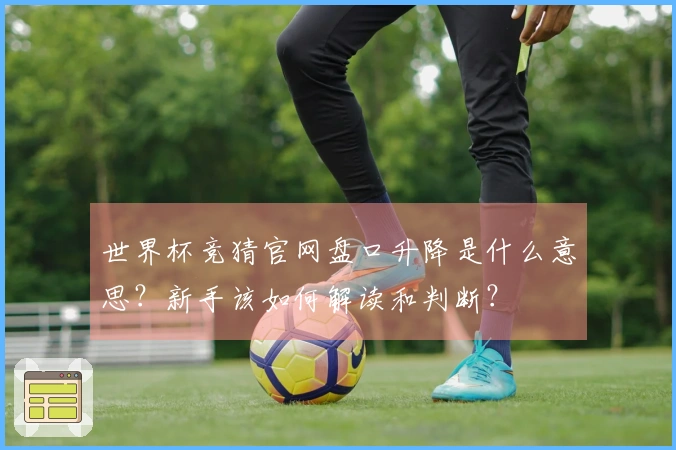 世界杯竞猜官网盘口升降是什么意思？新手该如何解读和判断？