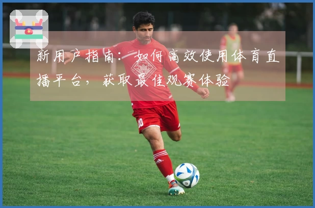 新用户指南：如何高效使用体育直播平台，获取最佳观赛体验