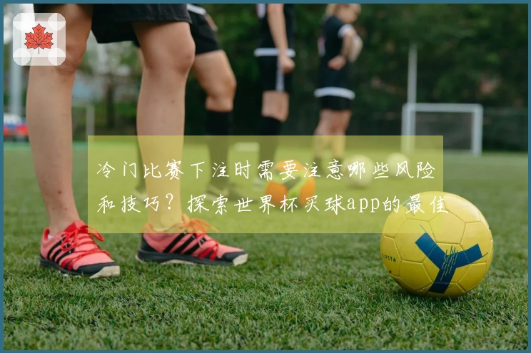 冷门比赛下注时需要注意哪些风险和技巧？探索世界杯买球app的最佳策略