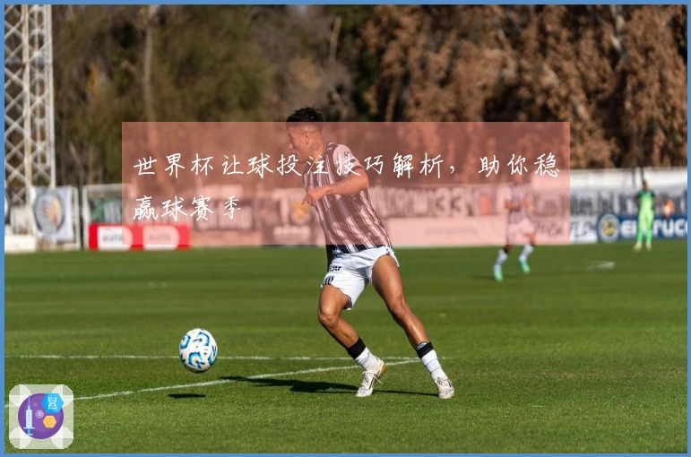 世界杯让球投注技巧解析，助你稳赢球赛季