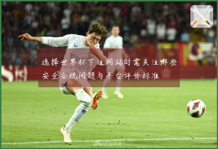 选择世界杯下注网站时需关注哪些安全合规问题与平台评价标准