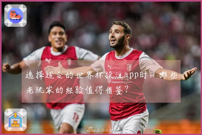 选择适合的世界杯投注app时，哪些老玩家的经验值得借鉴？