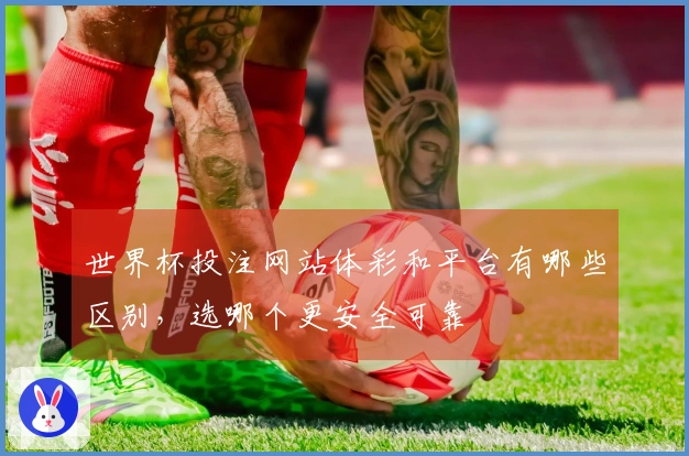 世界杯投注网站体彩和平台有哪些区别，选哪个更安全可靠
