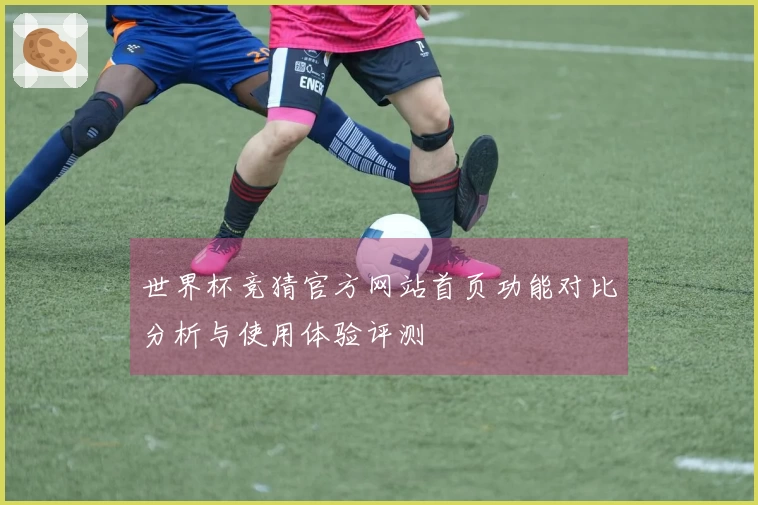 世界杯竞猜官方网站首页功能对比分析与使用体验评测