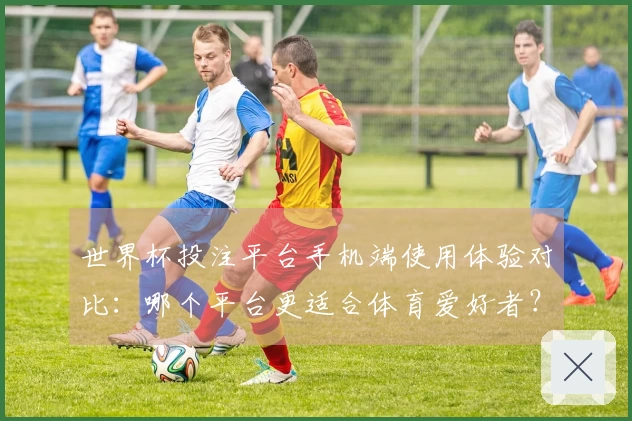 世界杯投注平台手机端使用体验对比：哪个平台更适合体育爱好者？