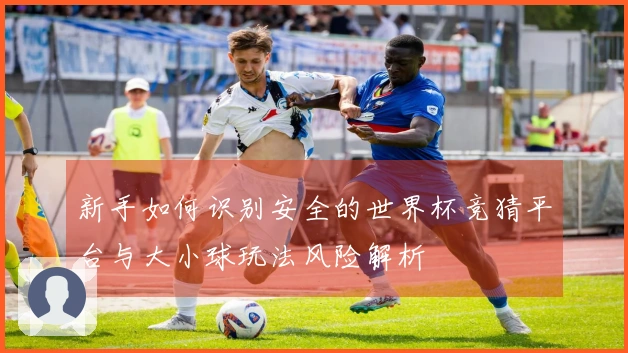 新手如何识别安全的世界杯竞猜平台与大小球玩法风险解析