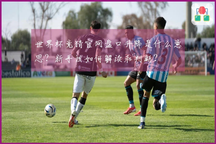世界杯竞猜官网盘口升降是什么意思？新手该如何解读和判断？
